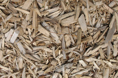 biomass boilers White Ness